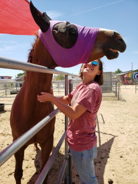 Sister horse loves a scratch